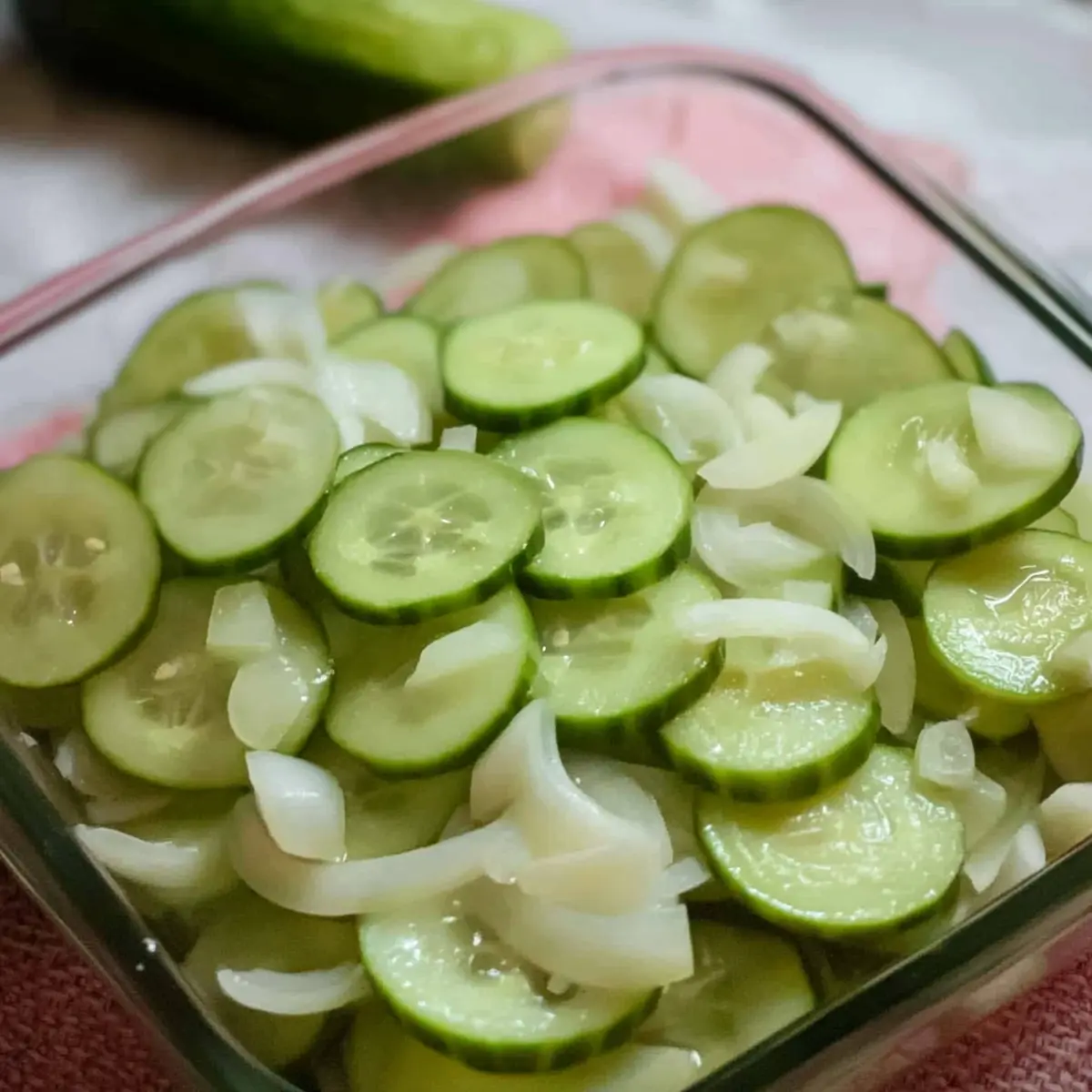 Cucumber and Onions in Vinegar